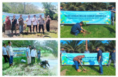 PTPN IV PalmCo Perluas Program Pelestarian Lingkungan melalui Penyaluran Puluhan Ribu Bibit Pohon dan Ikan