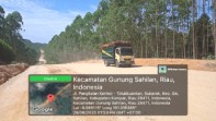 Perambahan TNTN Jadi Kebun Sawit Sudah Dilaporkan Sejak 2013, Namun Kini Buah Sawit Semakin Lancar Masuk Peron dan Pabrik