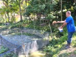 Warga Minas Rajut Kemandirian Ekonomi Lewat Budidaya Lele