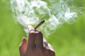 Tak Hisap Ganja Tapi Terpapar dan Positif, Ternyata Ini Penyebabnya