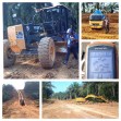 Satgas PKH Barangkali Belum Tahu, 600 Ha Kebun Sawit Bupati Diduga Dalam Kawasan Hutan