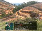 Deforestasi Hutan untuk Kebun Sawit di Riau Makin Marak di Mana-mana !