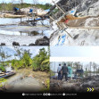 Gakkum KLHK Tangkap Penambang Pasir Timah Ilegal di Hutan Lindung Mangrove