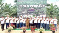 Sawit Muda PTPN IV Regional III Catat Produksi di Atas Standar Nasional