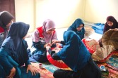 Hutan Adat Imbo Putui Suguhkan Keseimbangan Ekonomi dan Alam Berkelanjutan