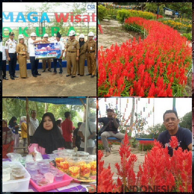 Taman Bunga Impian Okura Destinasi Wisata Baru Di Kota Pekanbaru